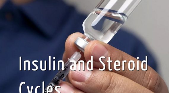 Insulin and Steroid Cycles