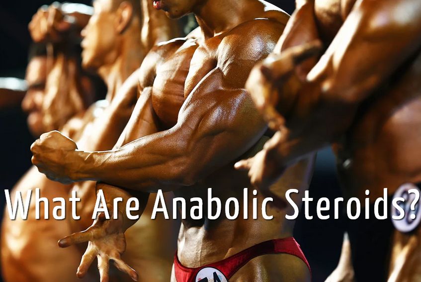 How Do Anabolic Steroids Work? Learning About the Anabolic Steroids Side Effects, Benefits, Prices, and Much Much More