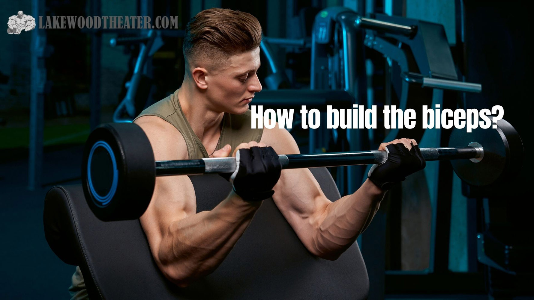 How to build the biceps?